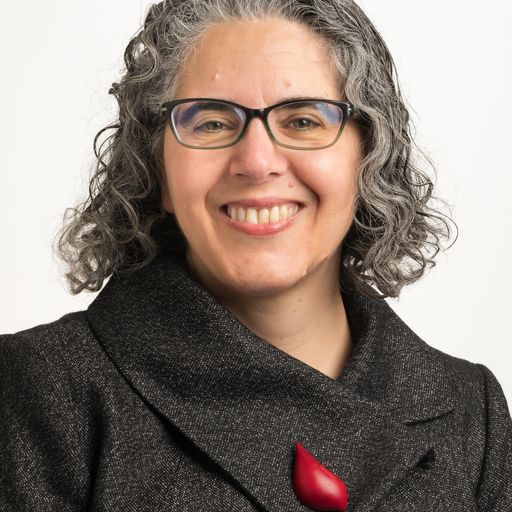 Jo Barraket - board member inner north community foundation